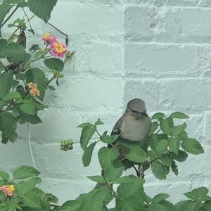 Meet your Posher, Chambers